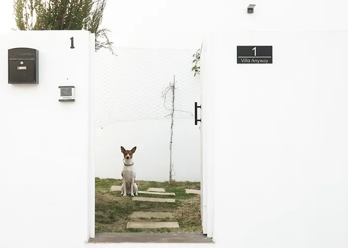 Anyway Conil Un Lujo Frente Al Mar Vila Conil De La Frontera