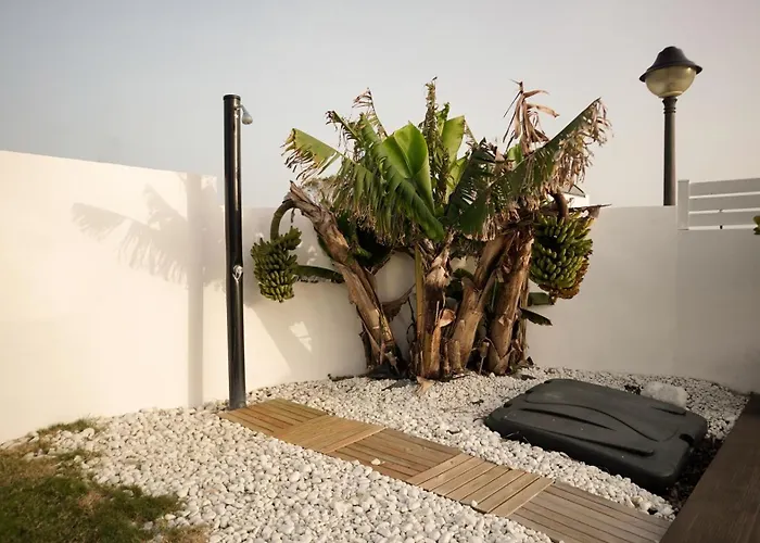 Vila Anyway Conil Un Lujo Frente Al Mar Conil De La Frontera