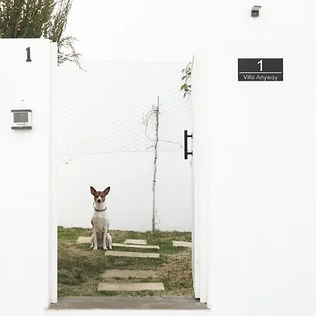 Anyway Conil Un Lujo Frente Al Mar Villa Conil De La Frontera