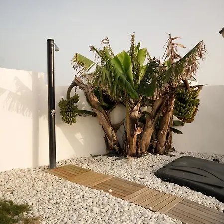 Βίλα Anyway Conil Un Lujo Frente Al Mar Conil De La Frontera