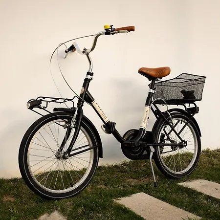 Villa Anyway Conil Un Lujo Frente Al Mar Conil De La Frontera