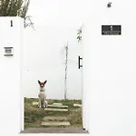 Anyway Conil Un Lujo Frente Al Mar 别墅 科尼尔-德拉弗龙特拉
